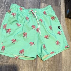 Hollister Mint Green Swim Shorts with Pink Print
